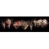 SHOWBOX 156 Tirs - 2min