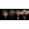 PORTABLE LPF 120 Tirs 25mm 2min de Feu d'artifice automatique