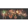 LPF 228 Tirs 25mm 2min30 de Feu d'artifice automatique