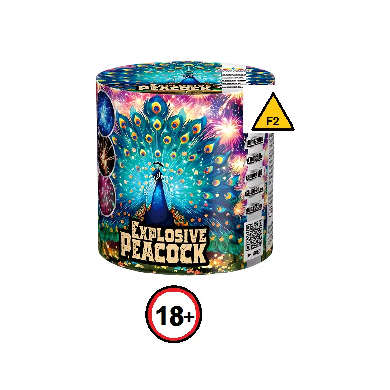 Combinaison d'artifices, sous forme de batterie, fontaine + 10 départs aérien