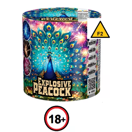 Combinaison d'artifices, sous forme de batterie, fontaine + 10 départs aérien