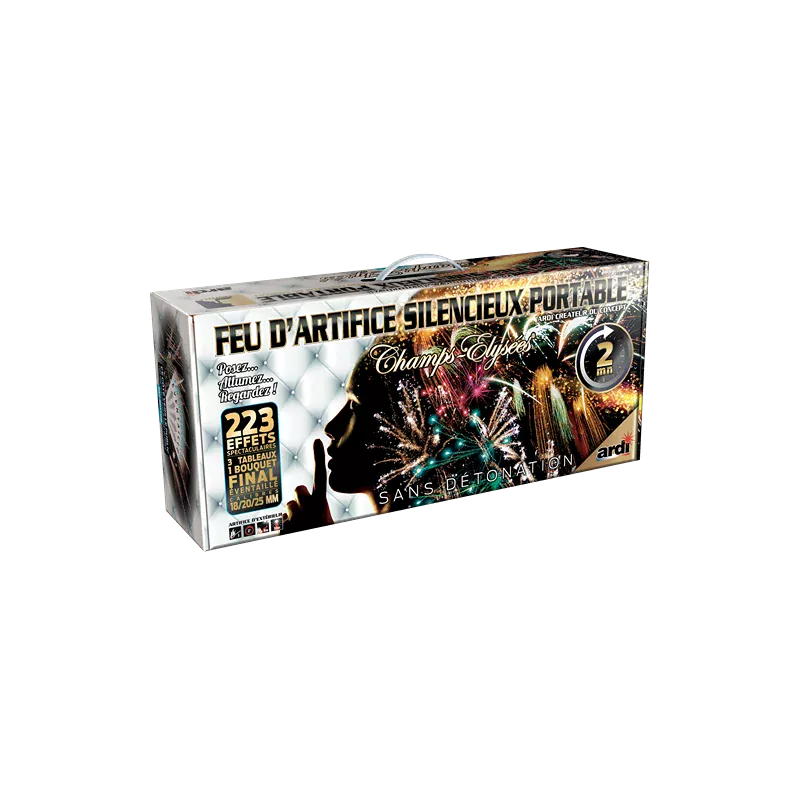 Coffret portable LPF feu d'artifice automatique 223 départ silencieux