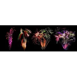 PORTABLE LPF 223 Tirs 25mm 2min de Feu d'artifice automatique