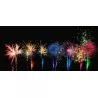 SHOWBOX 171 Tirs 25mm 2min30 de Feu d'artifice automatique